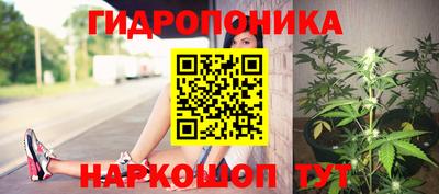 ПСИЛОЦИБИНОВЫЕ ГРИБЫ Лесосибирск